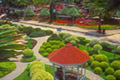 Nong Nooch tropical garden